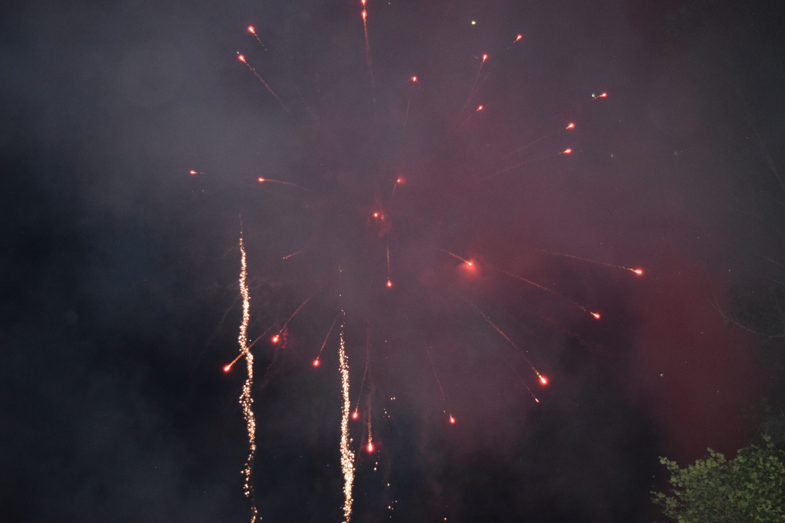 DSC_0105