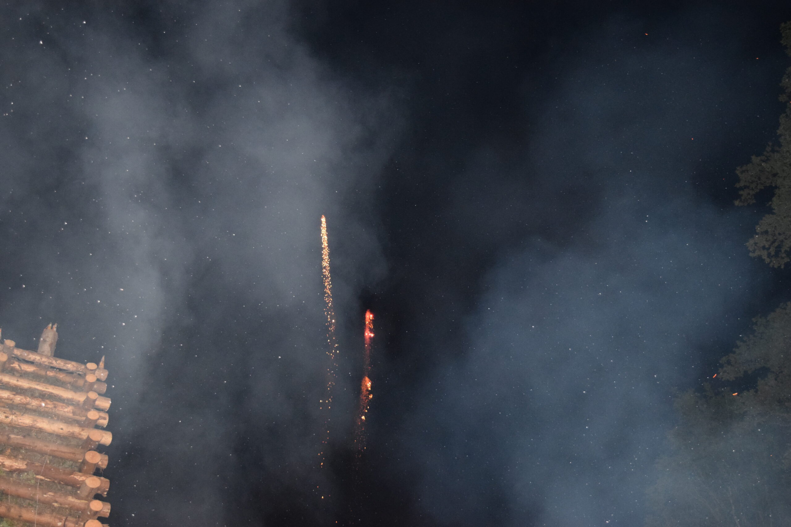 DSC_0113